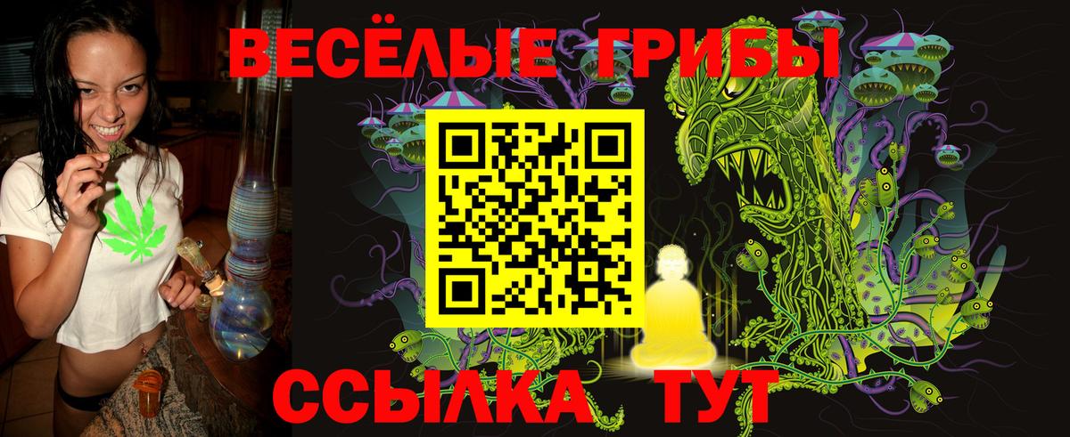Псилоцибиновые грибы ЛСД  наркотики  Галлюциногенные грибы прущие грибы  Добрянка  Вход с VPN 